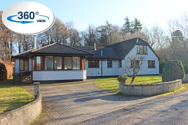 Thumbnail Property to rent in West Park, Inverness