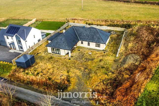 Hill View, Llandysul photo 4