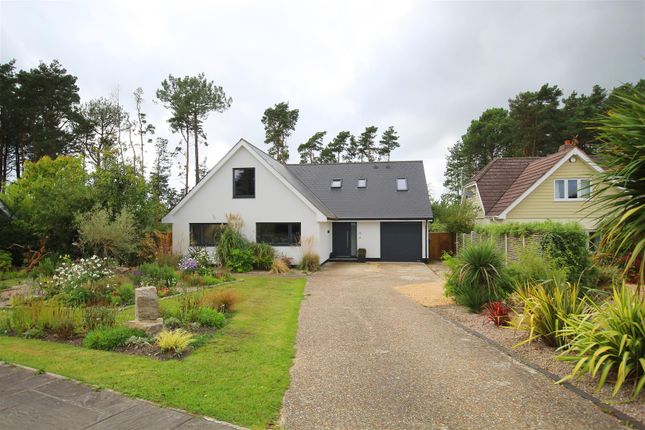 Thumbnail Detached house to rent in Pine Manor Road, Ashley Heath, Ringwood
