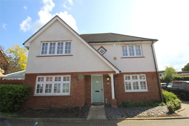 Thumbnail Detached house to rent in Ruth King Close, Colchester