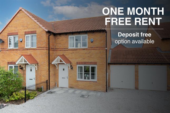 Cork - 1Mfr &amp; Deposit Free.Png