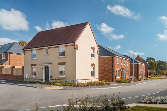 Street Scene With The 3 Bedroom Hadley At Ersham Park November 2024