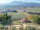 Thumbnail Villa for sale in Cetona, Siena, Tuscany