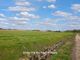 Thumbnail Bungalow for sale in Magdalen Road, Tilney St. Lawrence, King's Lynn