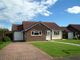 Thumbnail Detached bungalow for sale in Clementine Avenue, Seaford