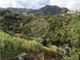 Thumbnail Land for sale in São Roque Do Faial, Santana, Ilha Da Madeira