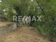 Thumbnail Land for sale in Ano Lechonia 373 00, Greece