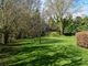 Thumbnail Detached house for sale in North Gorley, Fordingbridge