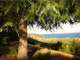 Thumbnail Villa for sale in Nea Anchialos, Magnysia, Thessalia, Greece