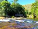 Thumbnail Farm for sale in Farm 38.000m2, With 400 Olive Trees, Stone House, Lajeosa Do Mondego, Celorico Da Beira, Guarda, Central Portugal