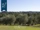 Thumbnail Villa for sale in Siena, Siena, Toscana