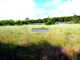 Thumbnail Land for sale in Property 70Ha, Santarém, Salvaterra De Magos, Muge, Salvaterra De Magos, Santarém, Central Portugal