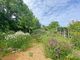 Thumbnail Cottage for sale in Valongis, Guernsey