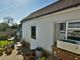 Thumbnail Detached house for sale in Terminus Avenue, Bexhill-On-Sea