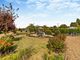 Thumbnail Detached house for sale in Great Moulton, Norwich, Norfolk