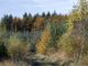Thumbnail Land for sale in Dura Forest, Allanton, North Lanarkshire