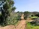 Thumbnail Land for sale in Vila Do Bispo Municipality, Portugal