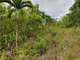 Thumbnail Land for sale in Chichester, Hanover, Jamaica