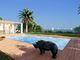 Thumbnail Villa for sale in Ste Maxime, St Raphaël, Ste Maxime Area, French Riviera