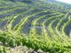 Thumbnail Farm for sale in Property Of 14Ha With Vineyard In The Douro, Portugal