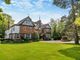 Thumbnail Detached house for sale in Hyde Lane, Danbury, Chelmsford