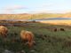 Thumbnail Land for sale in Balchladdich, Lochinver, Lairg