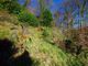 Thumbnail Property for sale in Lynbridge, Lynton