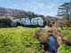 Thumbnail Detached house for sale in Glandyfi, Machynlleth