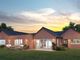 Thumbnail Detached bungalow for sale in Sycamore Close, Whaplode, Spalding