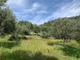 Thumbnail Land for sale in Nafpaktos, Aetolia Acarnania, West Greece, Greece