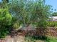 Thumbnail Country house for sale in Roca Llisa, Santa Eulalia Del Río, Ibiza, Balearic Islands, Spain