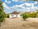 Thumbnail Bungalow for sale in Grove Hill, Langham, Colchester, Essex