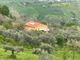 Thumbnail Detached house for sale in Teramo, Atri, Abruzzo, Te64032