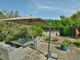 Thumbnail Detached bungalow for sale in Sandy Close, Colehill, Dorset