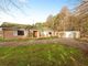 Thumbnail Bungalow for sale in Forest Way, Mildenhall, Bury St. Edmunds