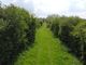 Thumbnail Farm for sale in Authorpe, Louth