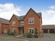Thumbnail Detached house for sale in Buttercup Drive, Danetre Place, Daventry