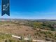 Thumbnail Farm for sale in Manciano, Grosseto, Toscana