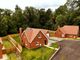 Thumbnail Detached house for sale in Wormley Lane, Hambledon, Godalming, Surrey