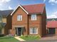 Thumbnail Detached house for sale in Cinderpath Way, Great Bentley