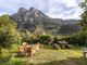 Thumbnail Detached house for sale in Biniaraix, Sóller, Mallorca