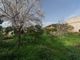 Thumbnail Detached house for sale in Valldemossa, Valldemossa, Mallorca