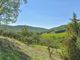 Thumbnail Villa for sale in Le Thoronet, Var Countryside (Fayence, Lorgues, Cotignac), Provence - Var