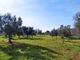 Thumbnail Land for sale in Ss 16, Carovigno, Brindisi, Puglia, Italy