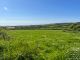 Thumbnail Land for sale in Fagwr Farm, Penparc, Cardigan