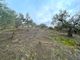 Thumbnail Land for sale in Árchez, Andalusia, Spain