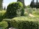 Thumbnail Villa for sale in Pontassieve, Firenze, Tuscany