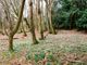 Thumbnail Land for sale in North Of Chamberlains Meadow, Heckfield, Hook, Hampshire