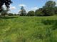 Thumbnail Equestrian property for sale in Thuboeuf, Lassay-Les-Châteaux, Mayenne Department, Loire, France