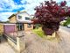 Thumbnail Detached house for sale in Mill Lane, Potton, Sandy